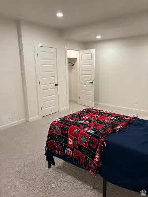 White interior walls, recessed ceiling lighting, light grey carpeting, white paneled doors, and an open closet with shelving