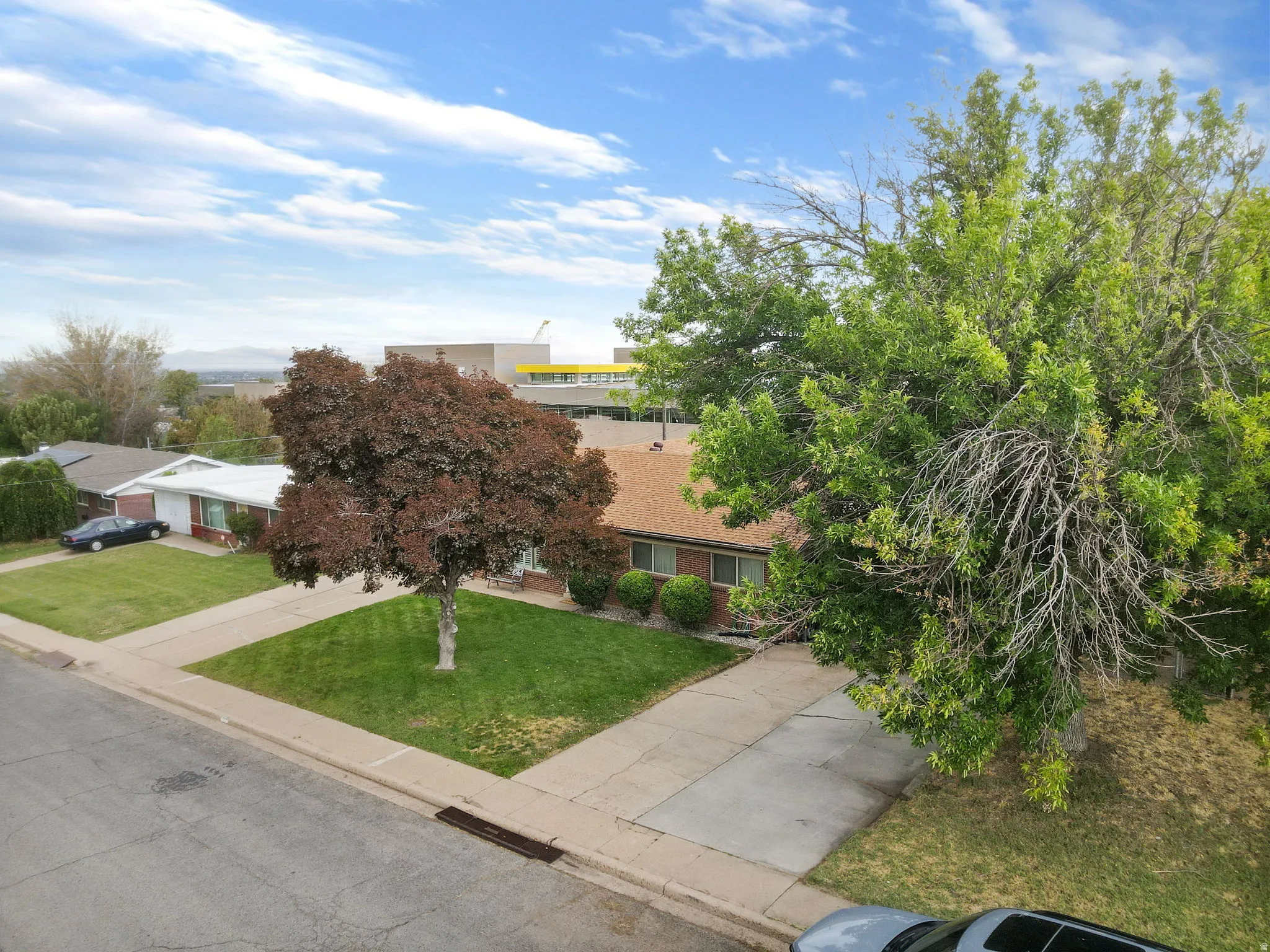 Front yard featuring a concrete driveway and sidewalk