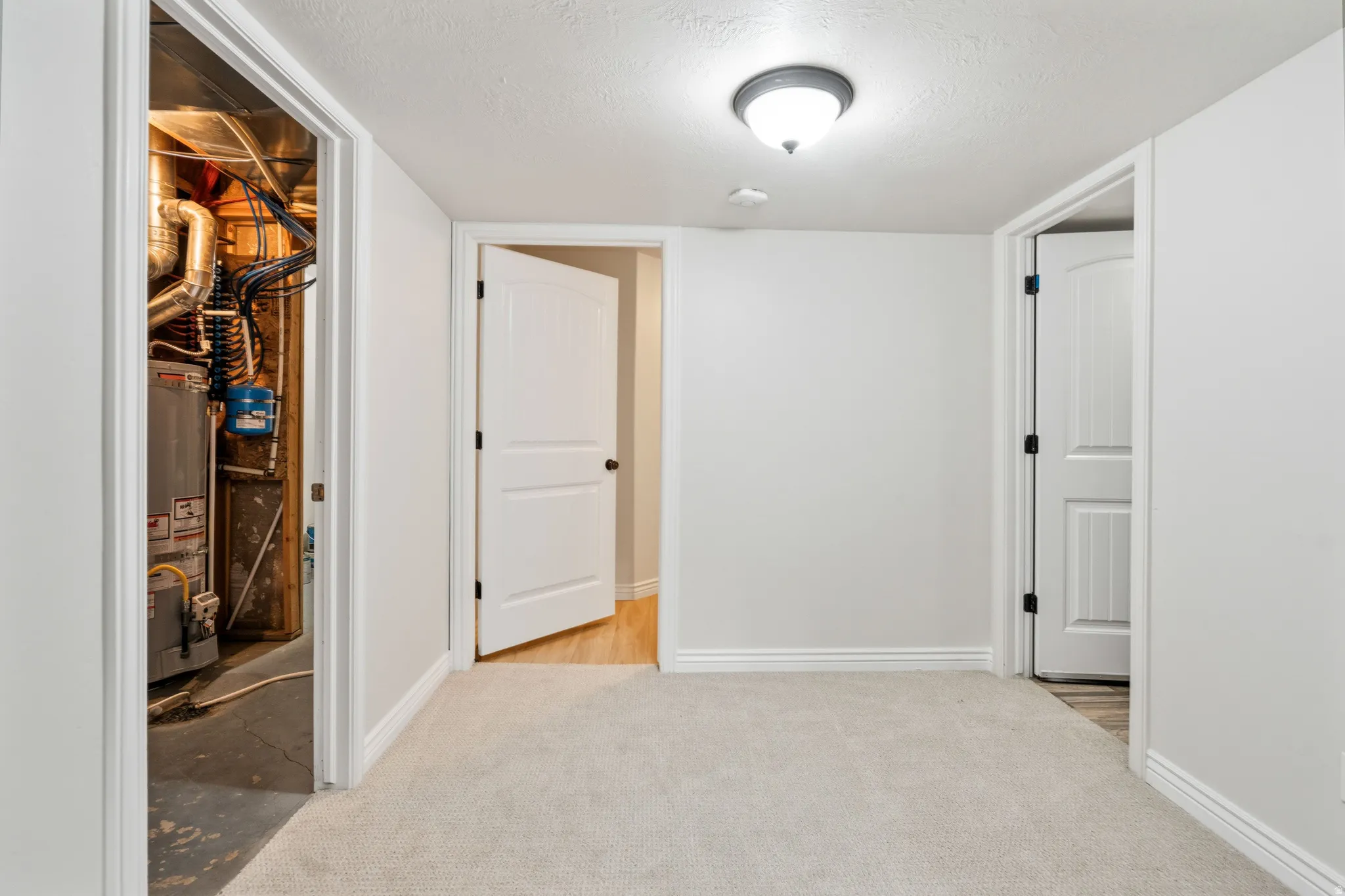 Neutral wall paint with carpet flooring