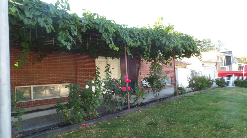 Front Yard with Private Patio