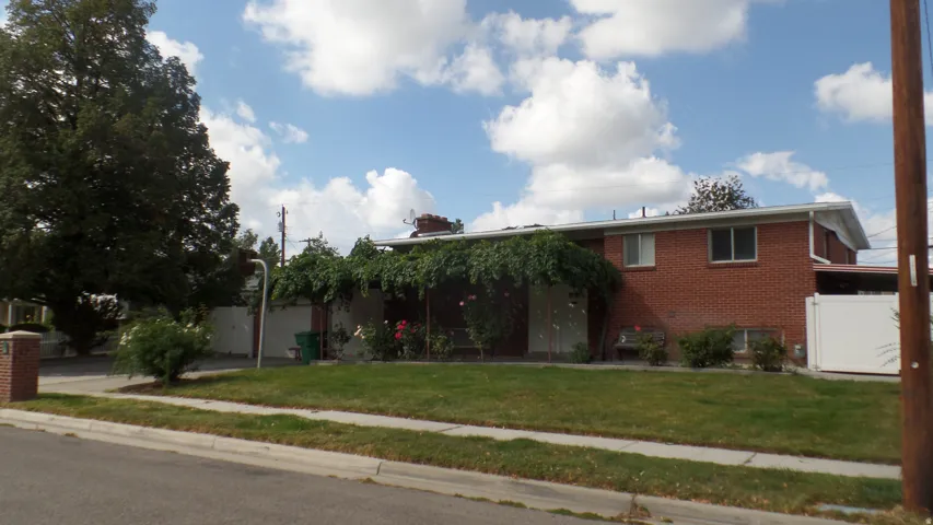 Front Yard