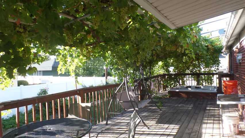 Large Private Deck - Cover with Grape Vines