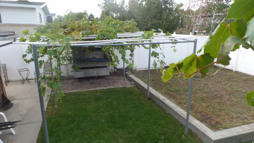 Large Backyard & Garden Area
