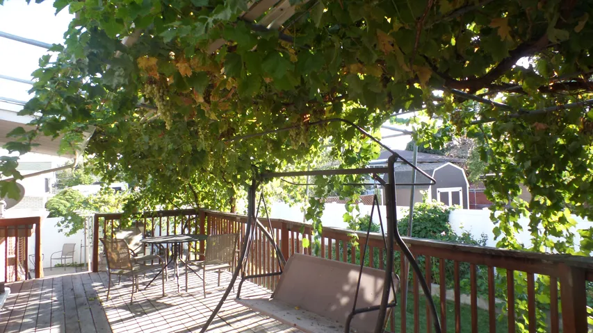 Large Private Deck - Cover with Grape Vines