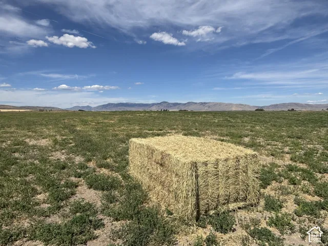 43 Huckleberry Ln, Montpelier, Idaho 83254
