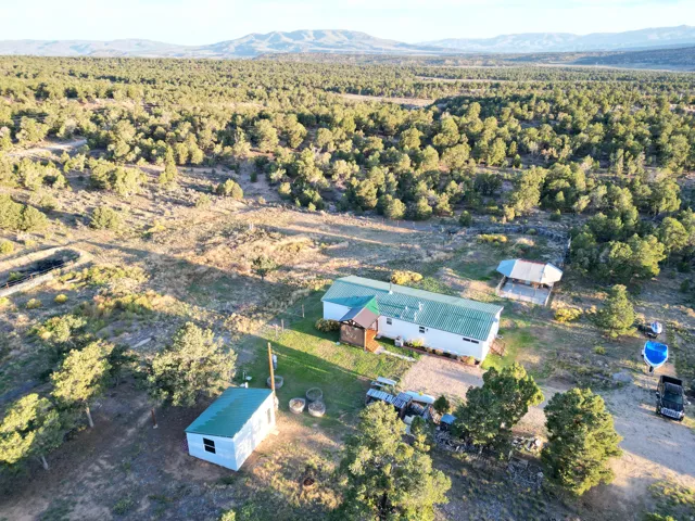 Expansive natural landscape with a residence featuring a green metal roof, an accessory dwelling unit with a green metal roof, and an open-air structure with a metal roof