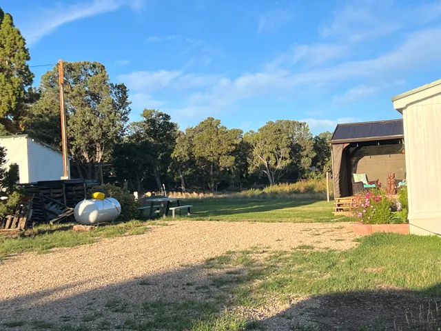 Gravel driveway with a grassy perimeter
