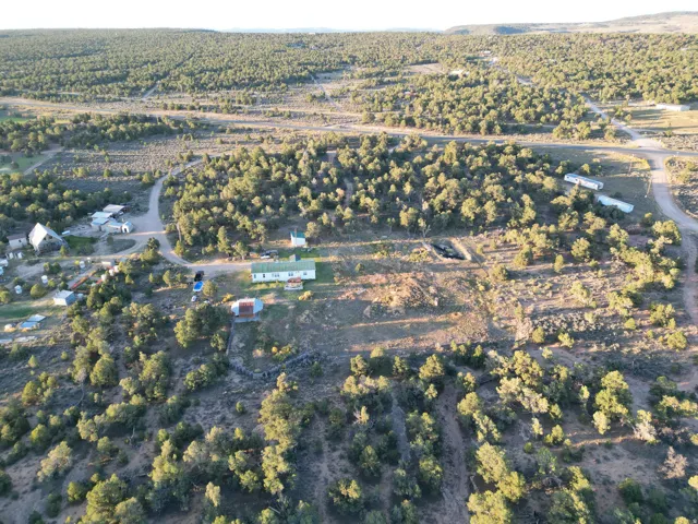 Expansive treed landscape with multiple structures and unpaved access roads