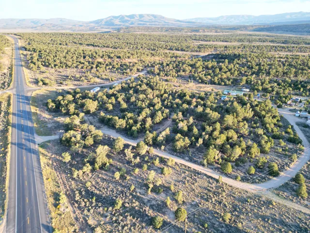 Expansive wooded terrain with a paved roadway and a mountainous backdrop