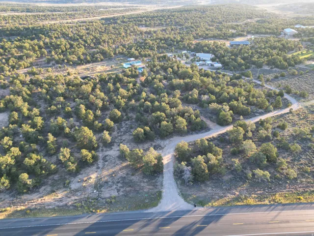 Expansive rural landscape featuring a paved road, multiple unpaved access roads, and abundant mature trees
