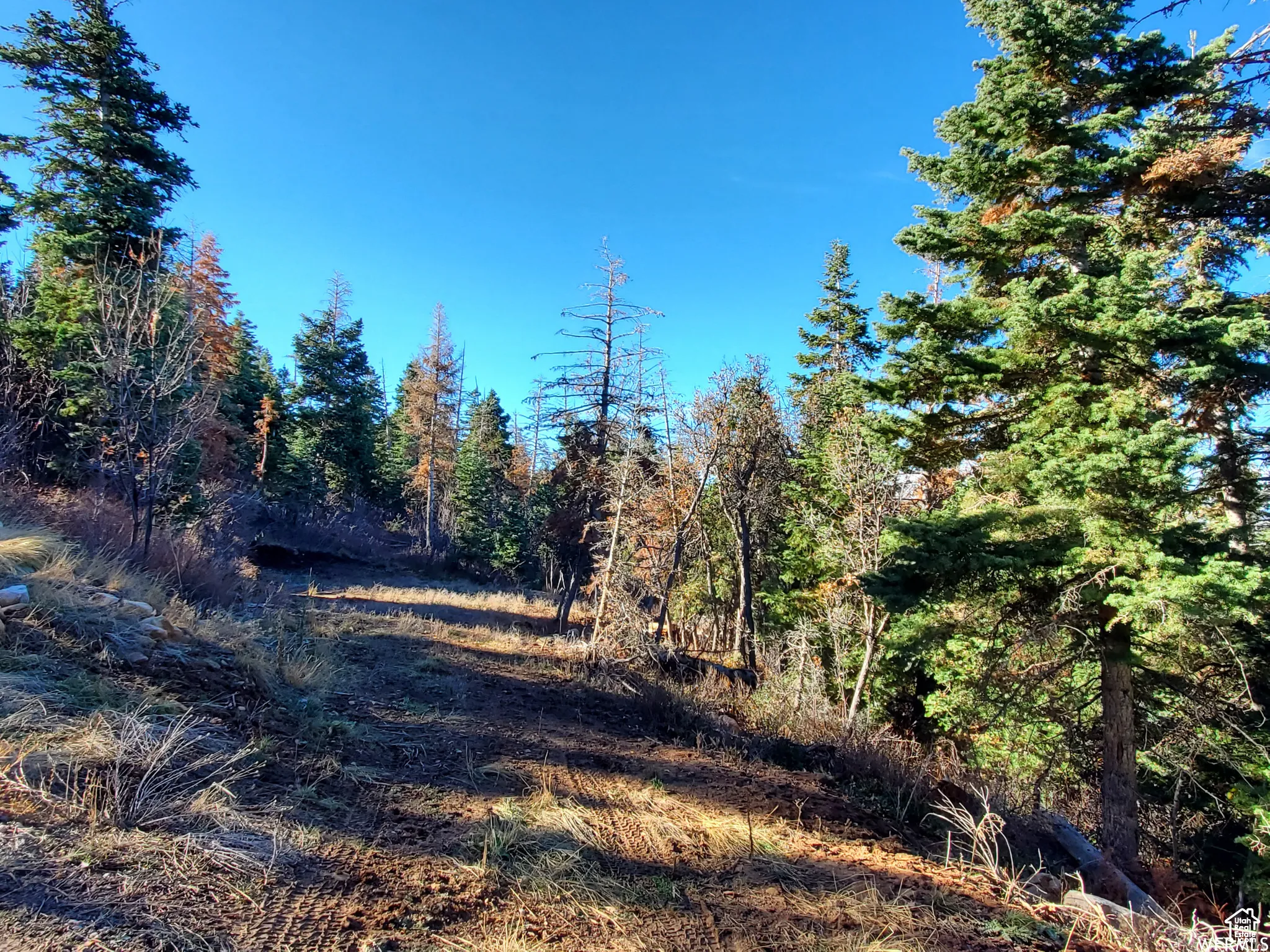 This is what the property looked like when purchased by the current owner