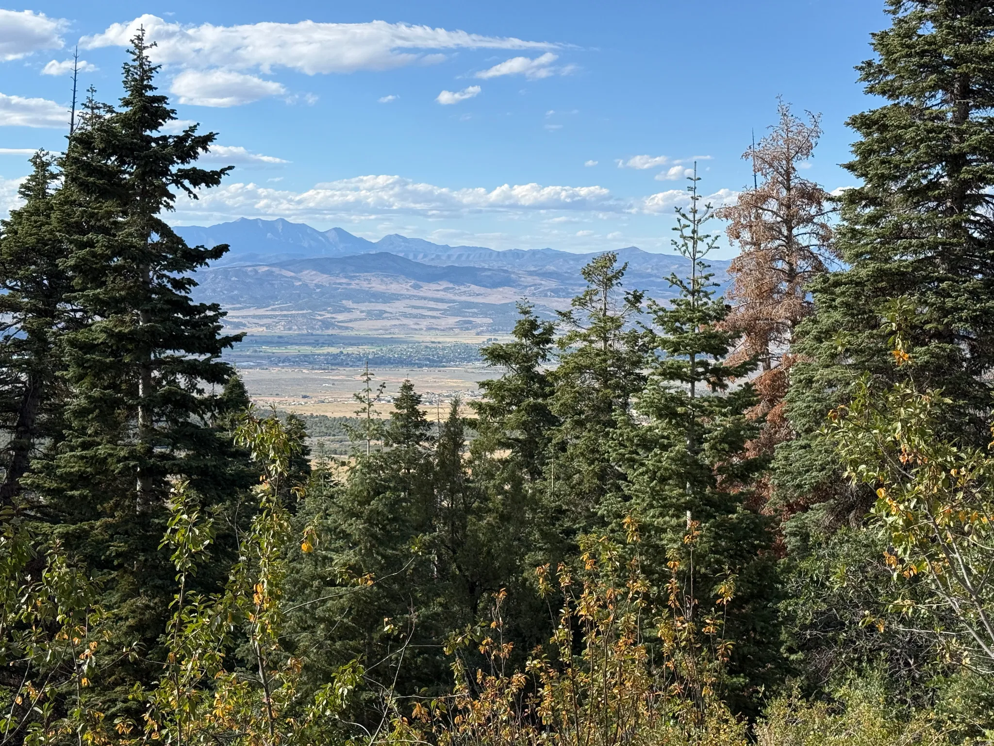 View