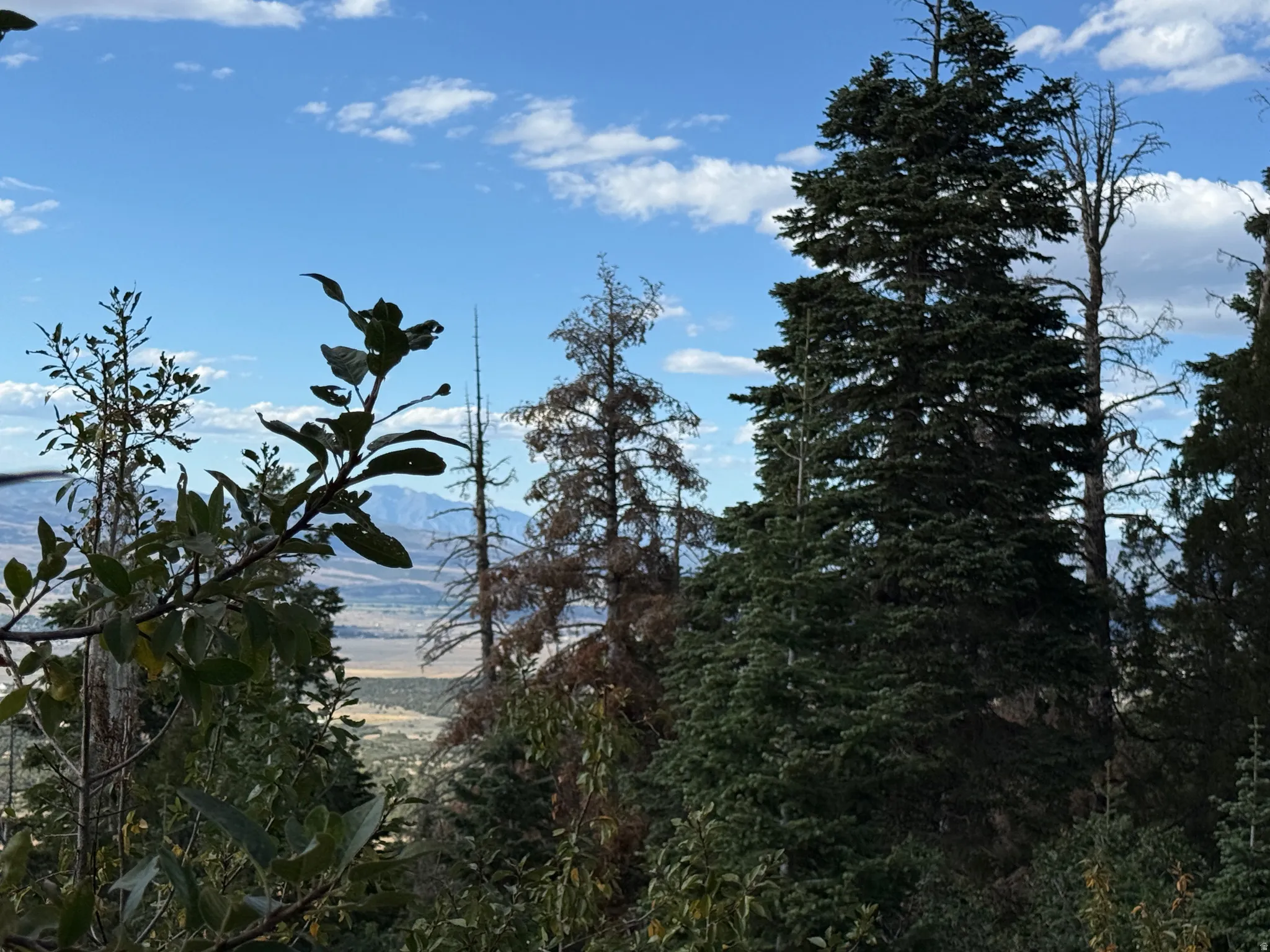 View