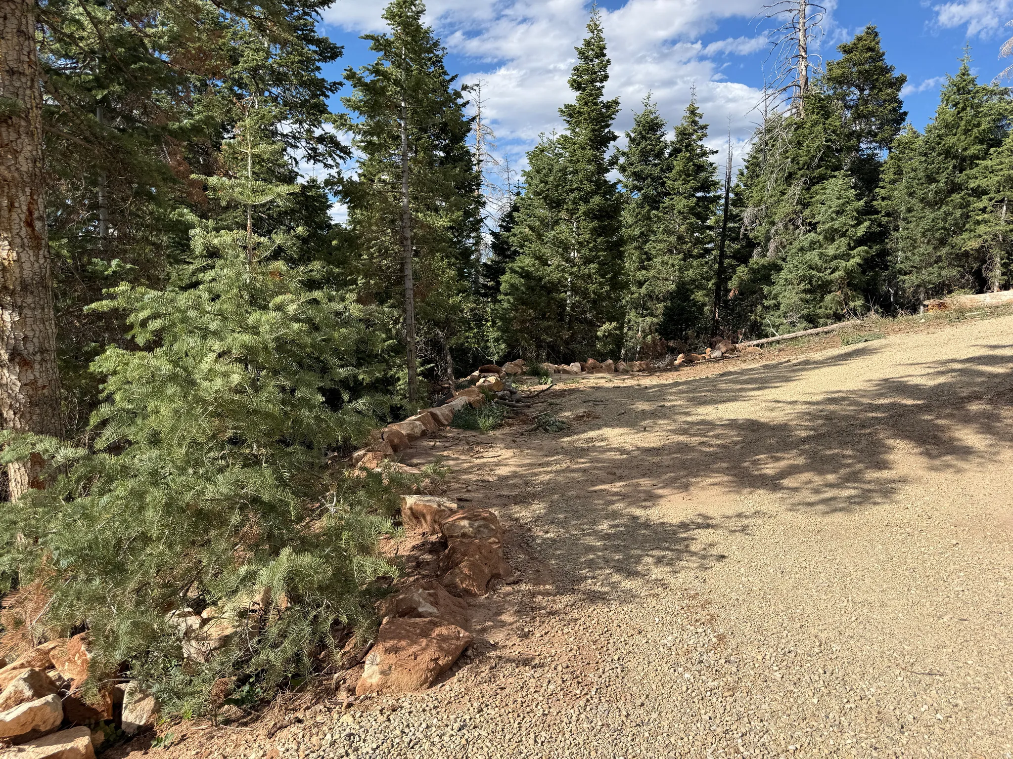 Septic Drain Field