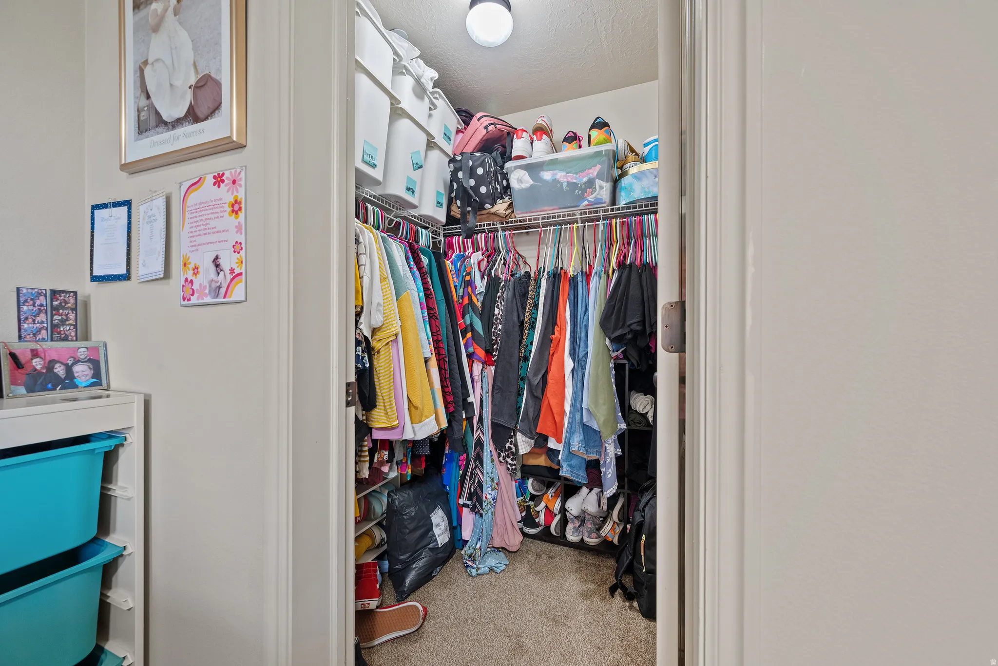 Walk-in closet with carpeted flooring and built-in wire shelving