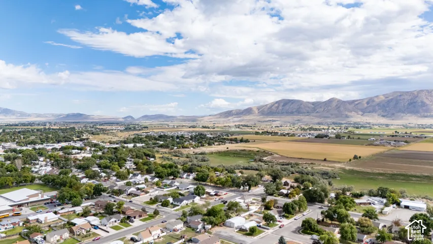 Aerial perspective showcasing a residential area with established trees and surrounding agricultural fields, all set against a backdrop of distant mountains