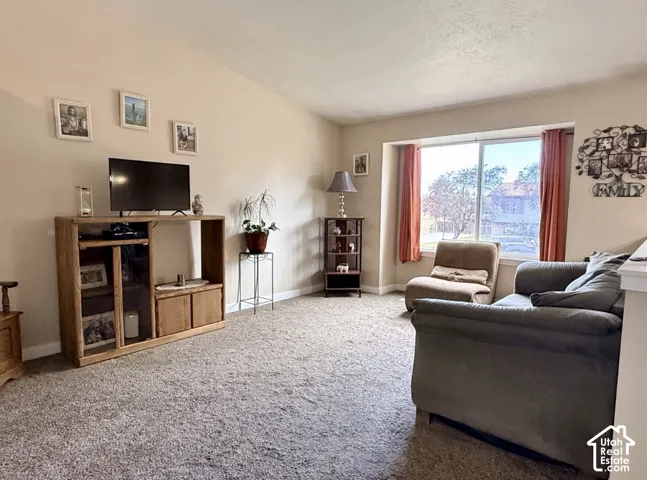 Carpeted living area featuring a large window, neutral wall paint, and white trim