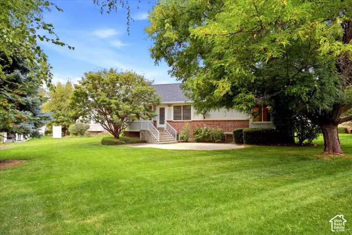 Expansive lawn with mature trees and a concrete patio