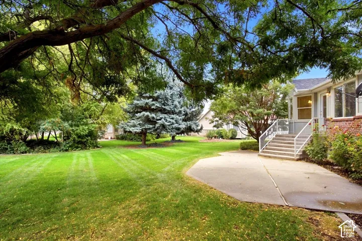 Expansive lawn with mature trees and a concrete patio