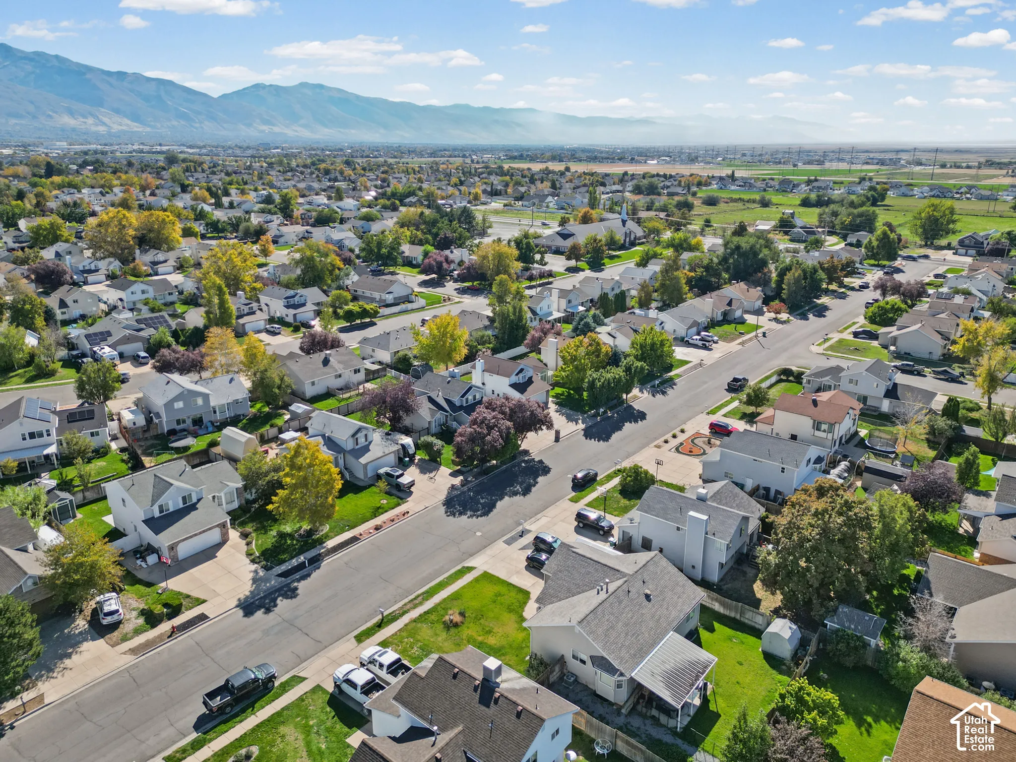 Expansive residential area with a mountain backdrop and scattered mature trees
