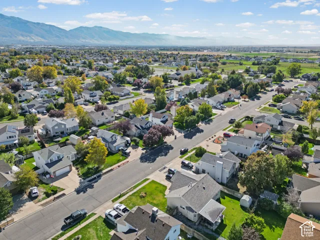 Expansive residential area with a mountain backdrop and scattered mature trees