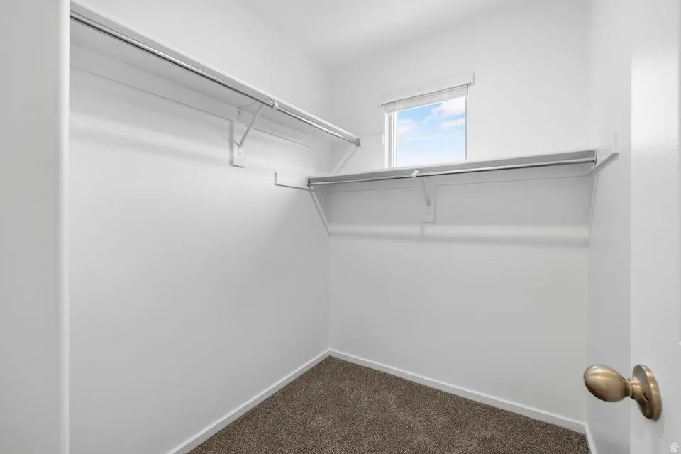 Walk-in closet with carpet flooring, white painted walls, and built-in white shelving and hanging rods