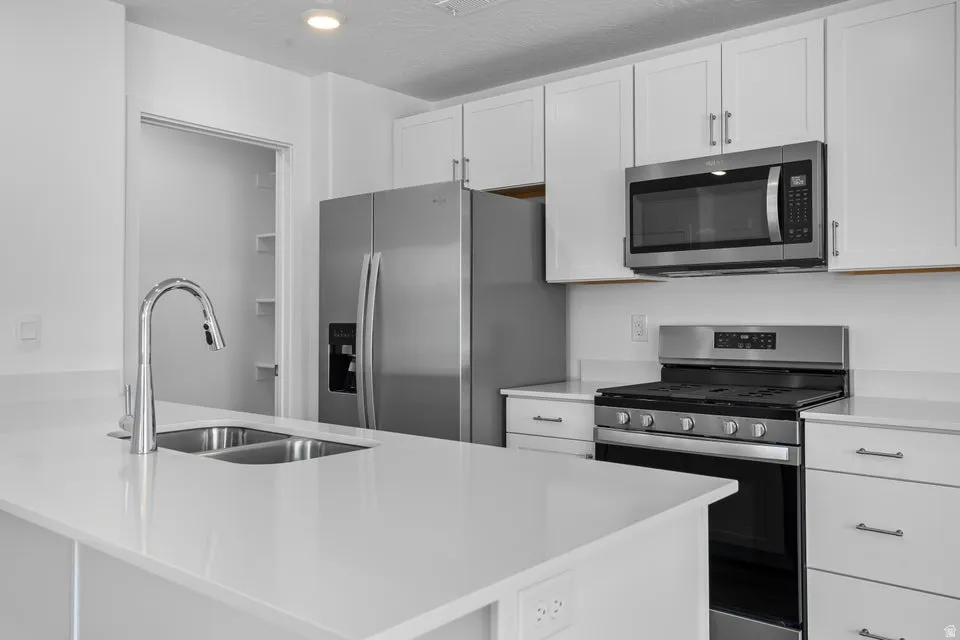 White cabinetry, stainless steel appliances, dual basin sink, and solid surface countertops