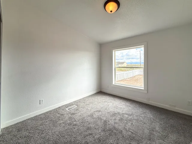 Neutral wall paint, gray patterned carpeting, single window with white trim, white baseboards, and a ceiling-mounted light fixture