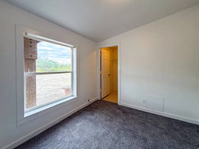 Window with white trim