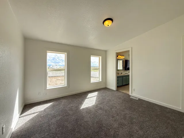 White walls, gray carpeting, and two windows