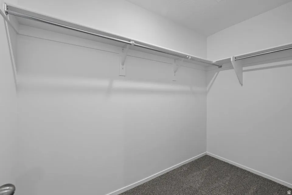 Walk-in closet with wall-mounted shelving and clothing rods, featuring wall-to-wall carpeting