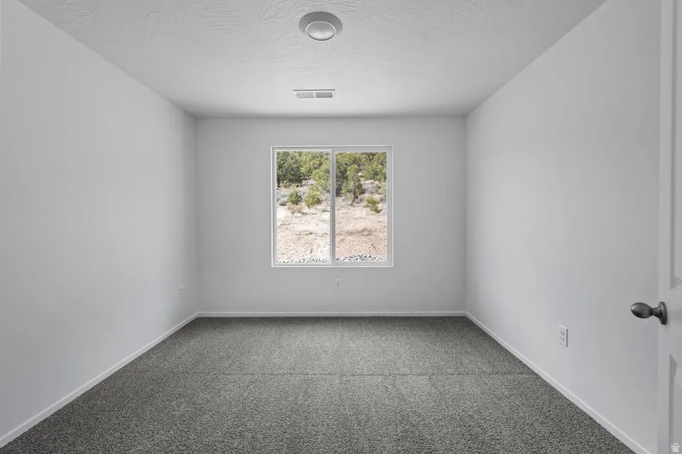 Neutral wall tones, gray carpeting, a single window, and a flush-mount ceiling light