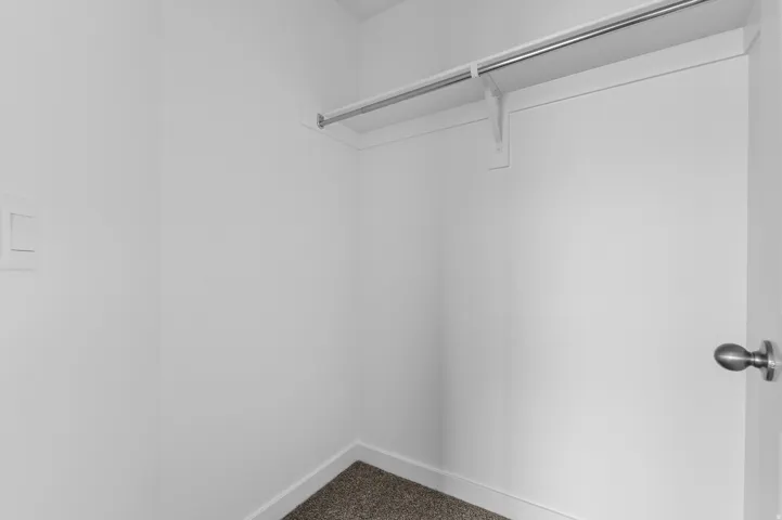 Built-in closet with a metal hanging rod and carpet flooring