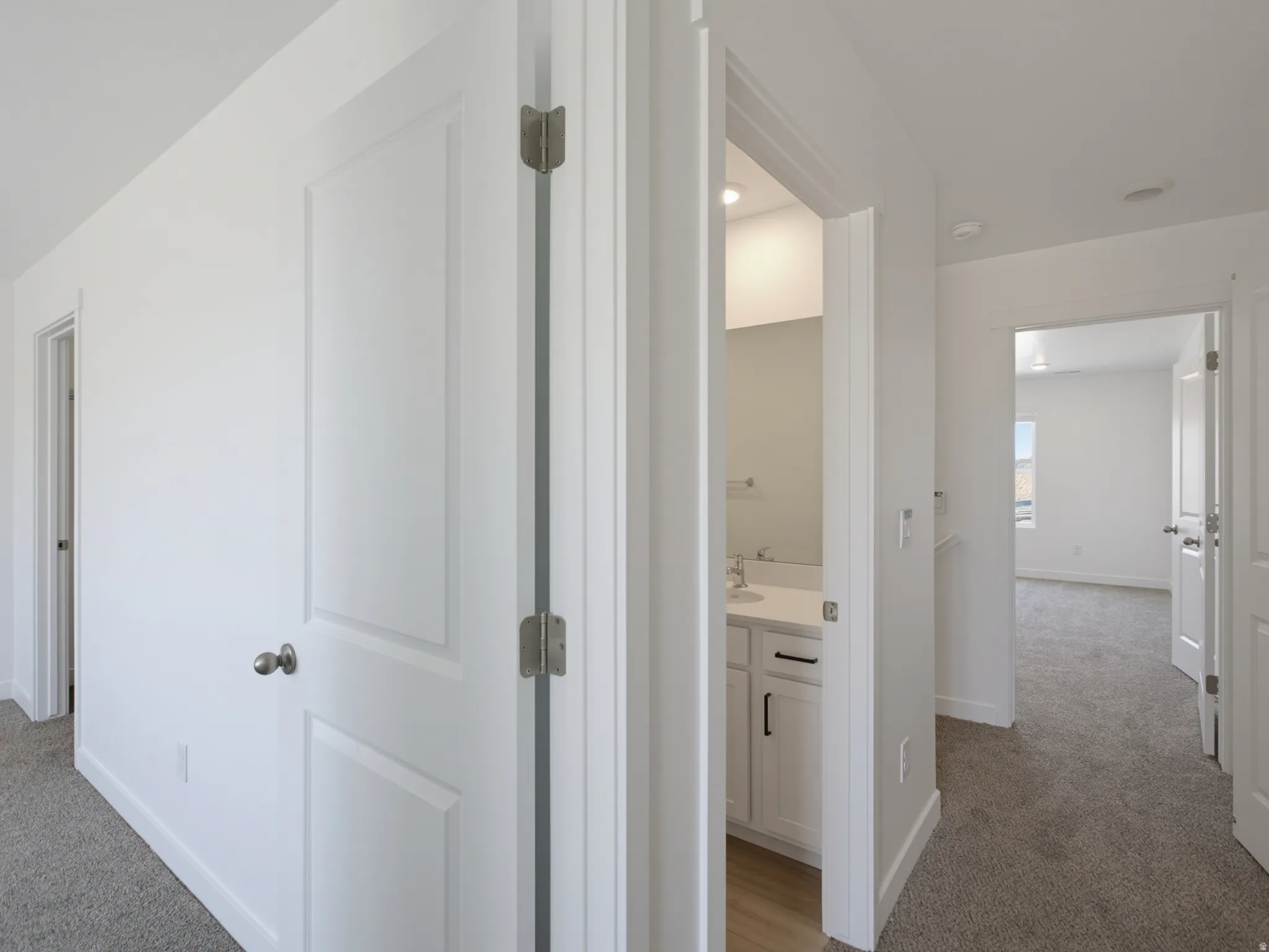 White panel doors, gray carpeting, and light wood-finish flooring