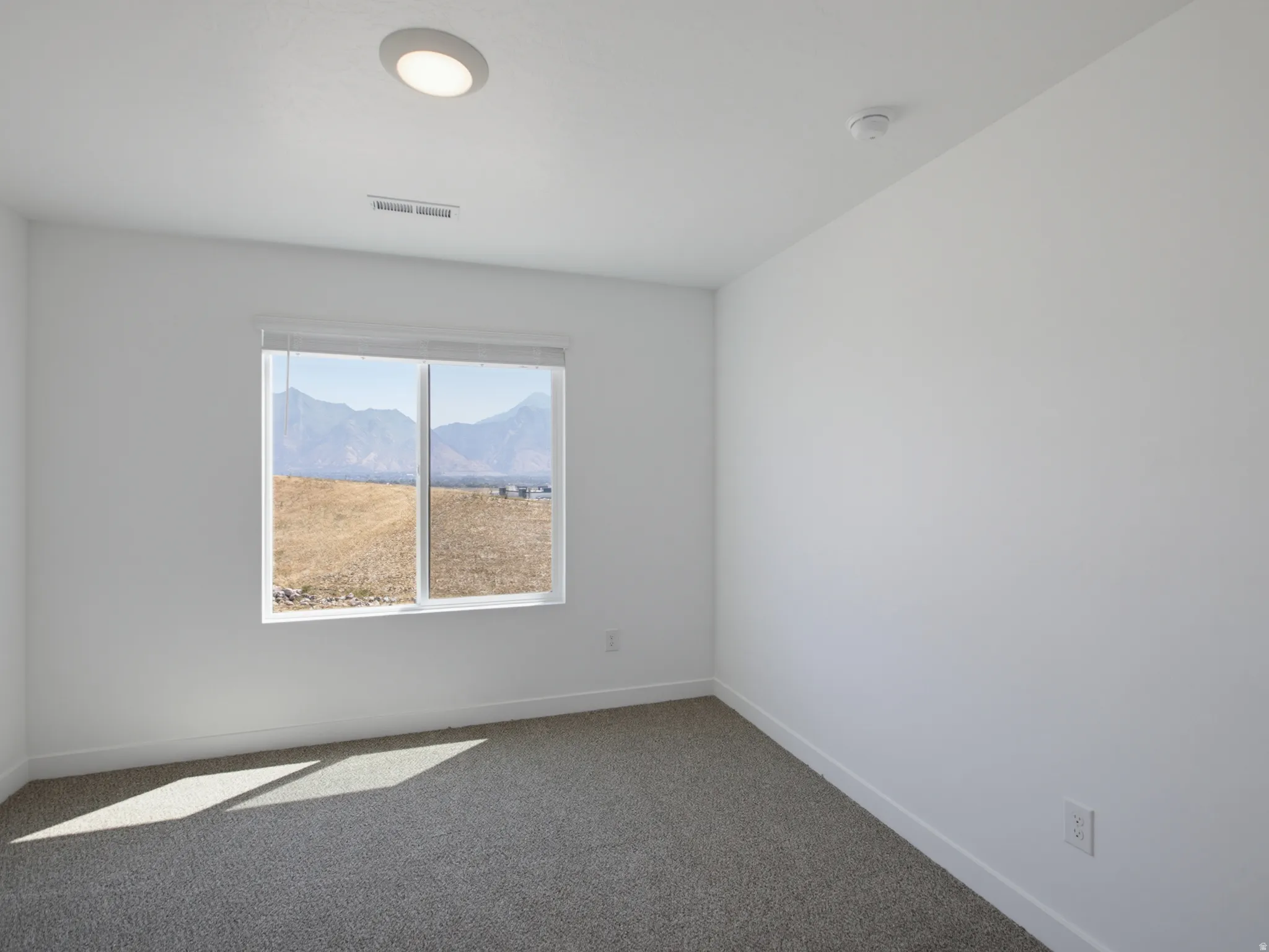 Neutral wall finishes and gray carpeting complement the large window with mountain scenery