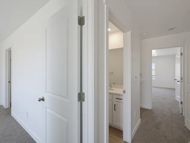 White panel doors, gray carpeting, and light wood-finish flooring