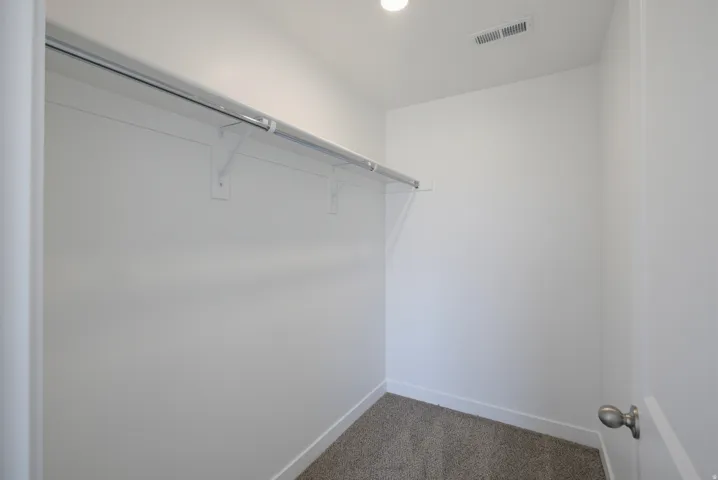 Recessed ceiling light, wall-mounted clothing rod, white wall finishes, carpeting, and white door trim