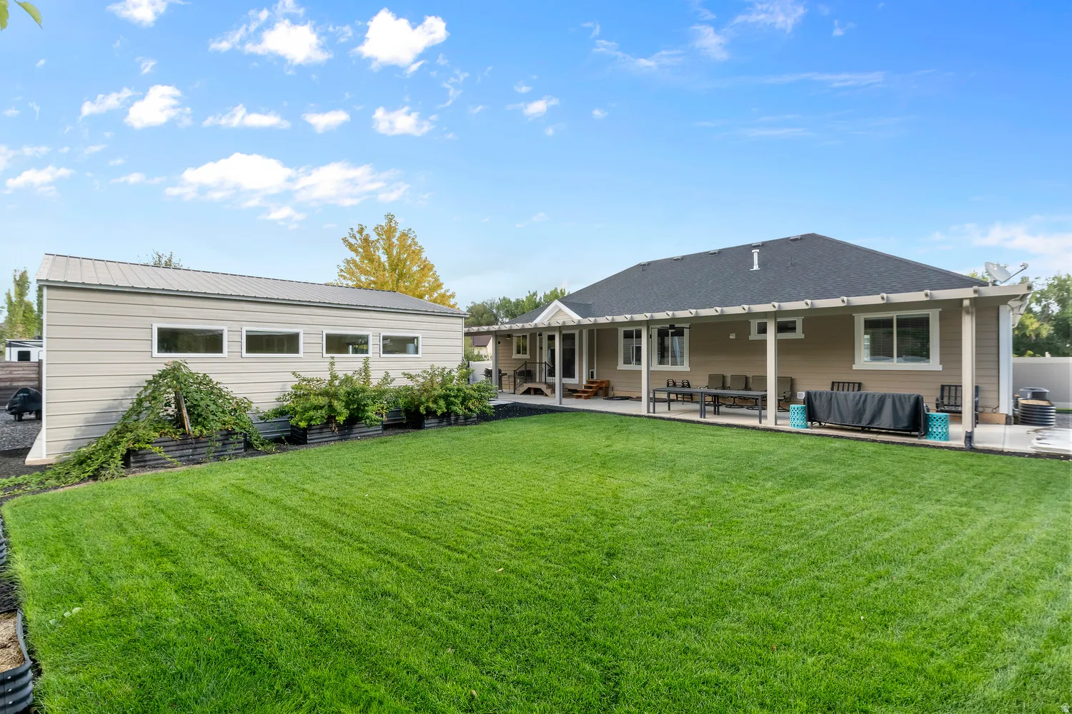 Expansive lawn, covered patio, separate outbuilding with multiple windows, and mature landscaping, mulitple berries