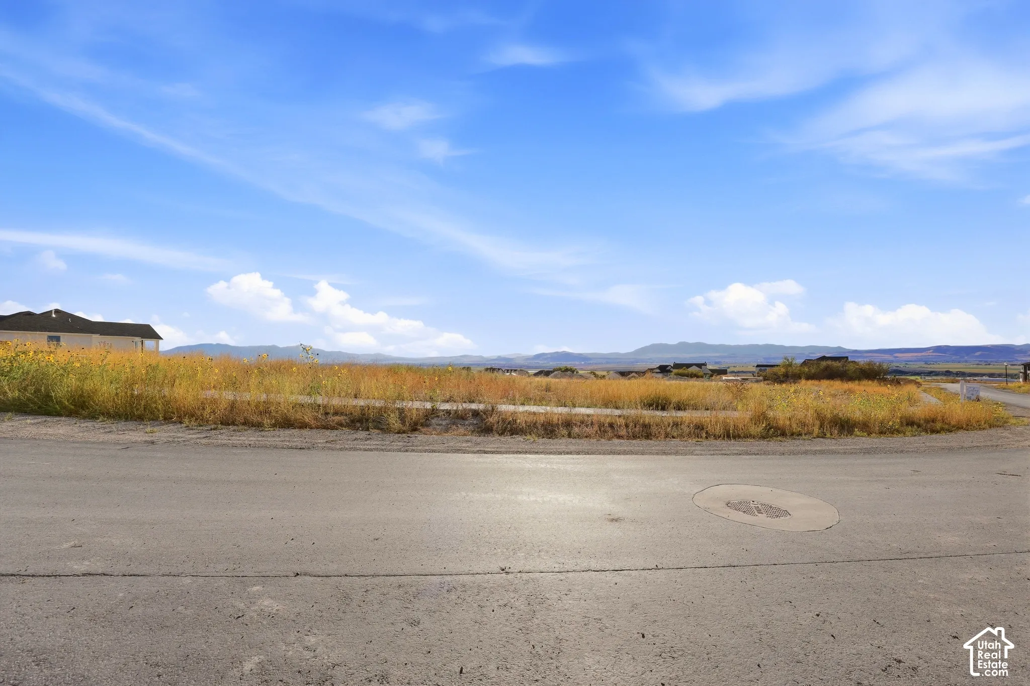 Expansive undeveloped lot with natural vegetation