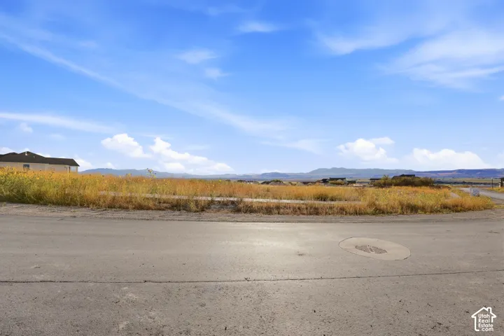 Expansive undeveloped lot with natural vegetation