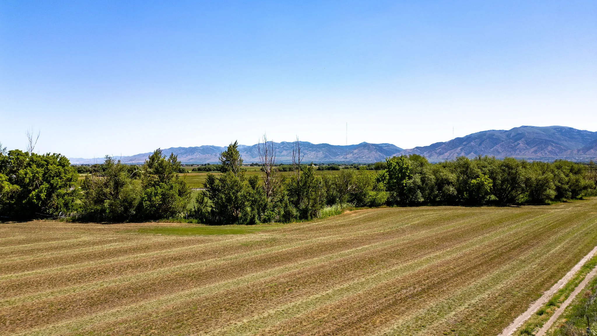 Expansive agricultural land featuring a clear-cut field and mature tree lines