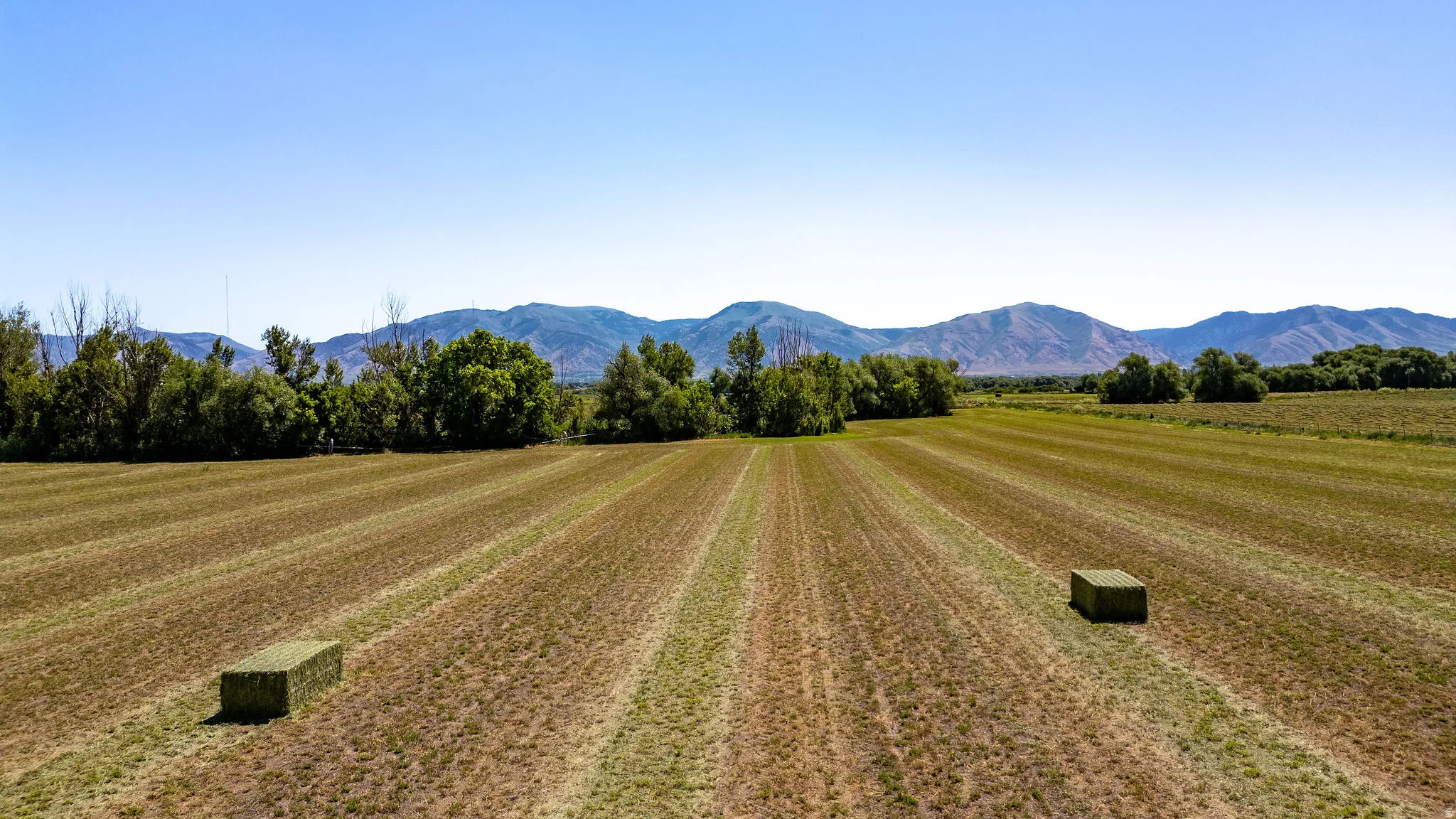 Expansive agricultural field with cut crops, featuring two hay bales and distant mountains