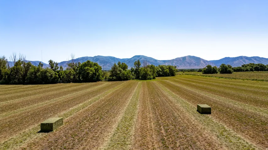 Expansive agricultural field with cut crops, featuring two hay bales and distant mountains