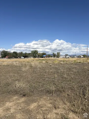 Expansive undeveloped land featuring natural grasses and distant mature trees