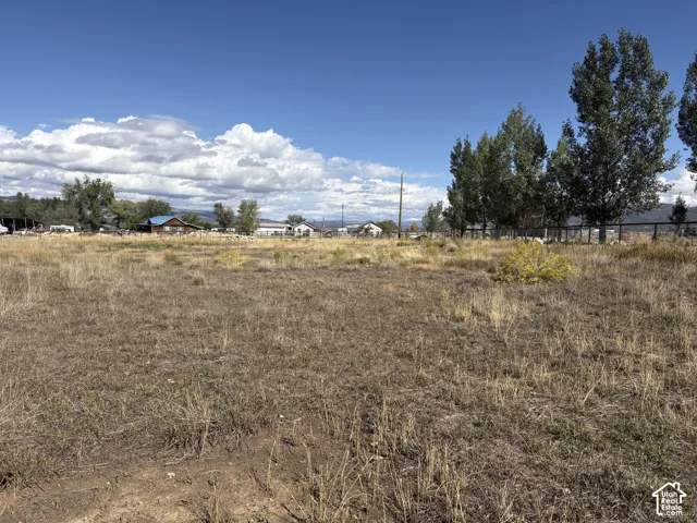 Expansive open lot with natural ground cover