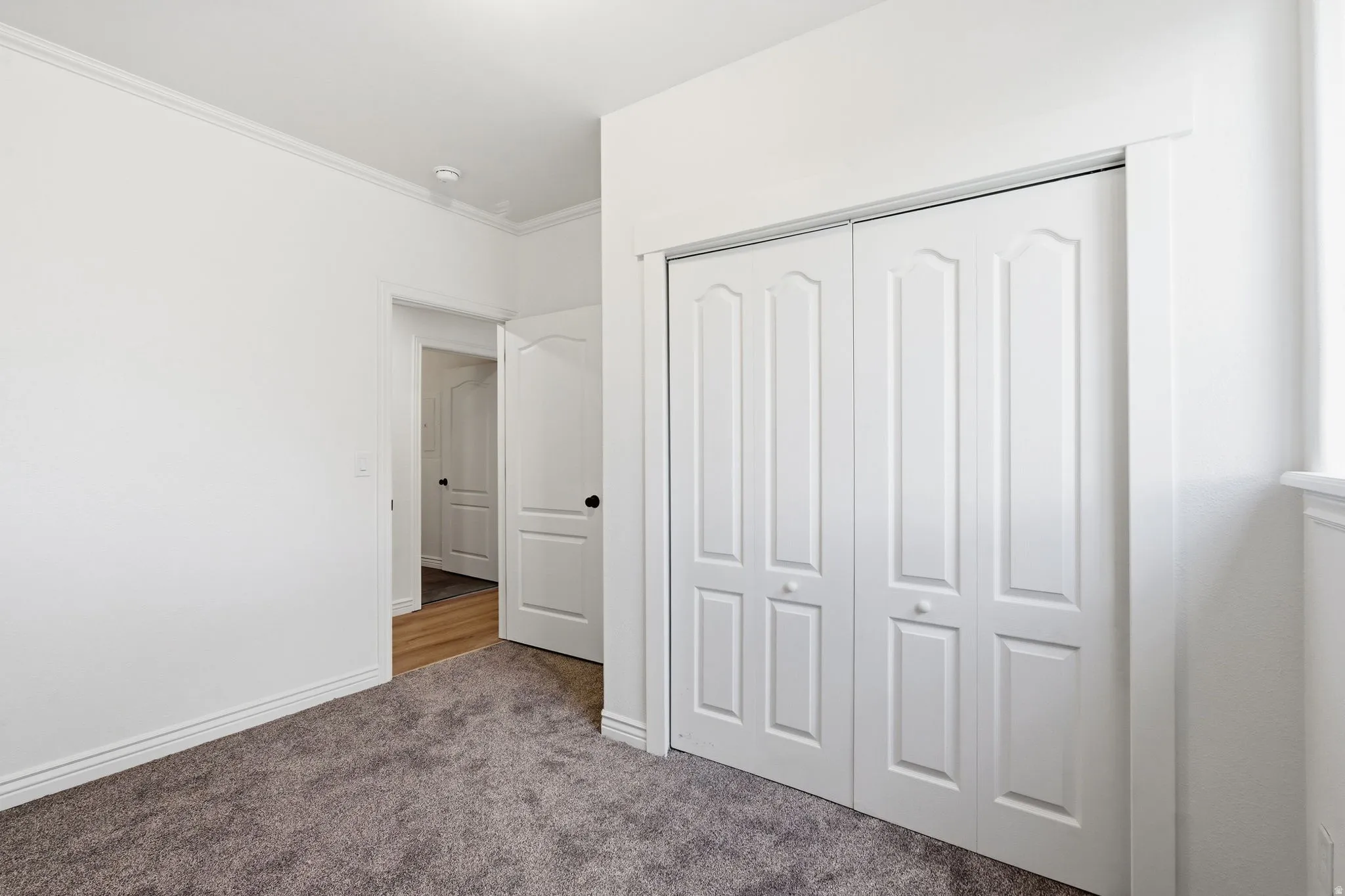 Grey carpet flooring, white baseboards, crown molding, white bi-fold closet doors, and a white interior door