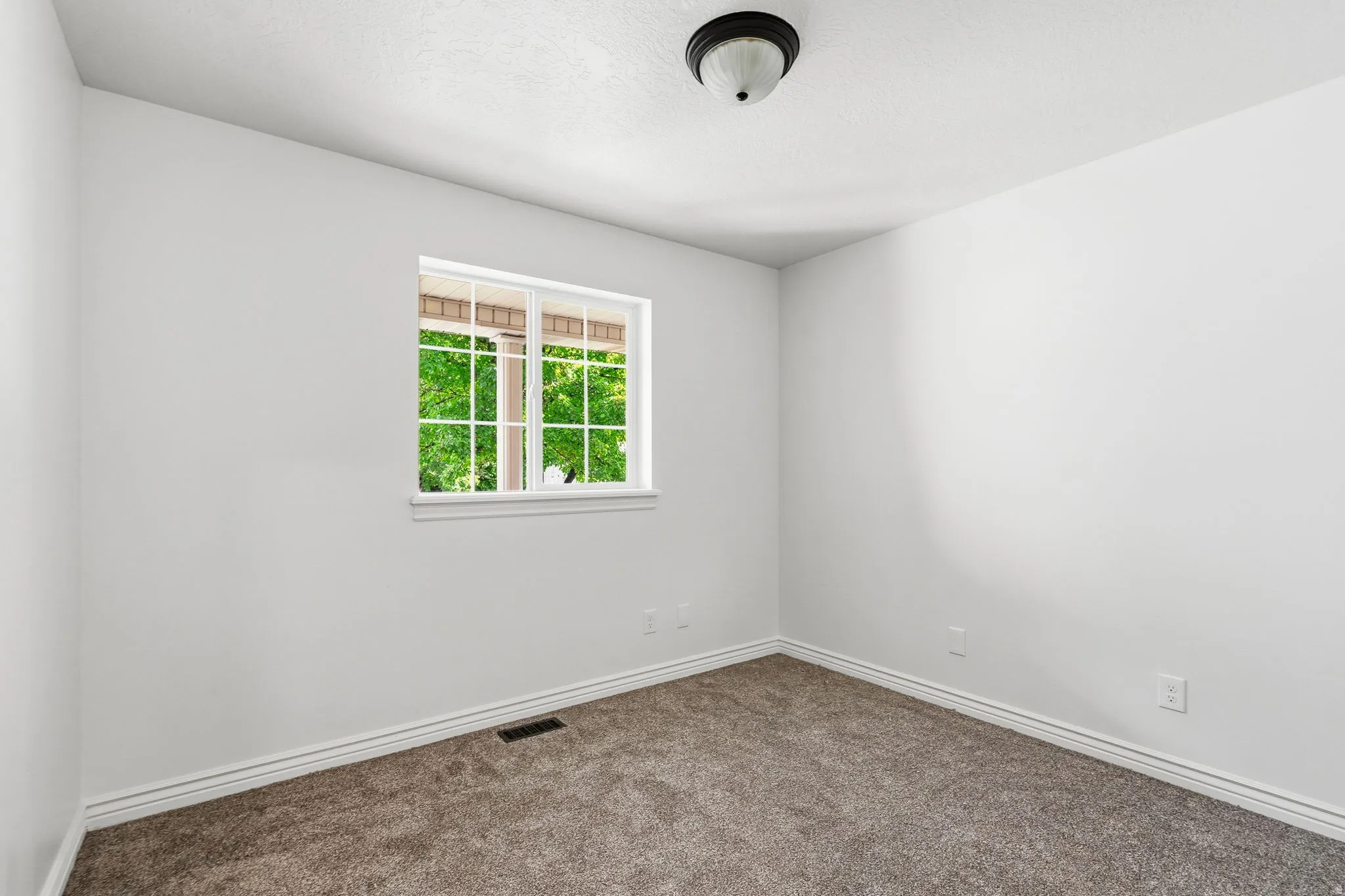 White painted walls, carpeted flooring, white trim, and a ceiling-mounted light fixture