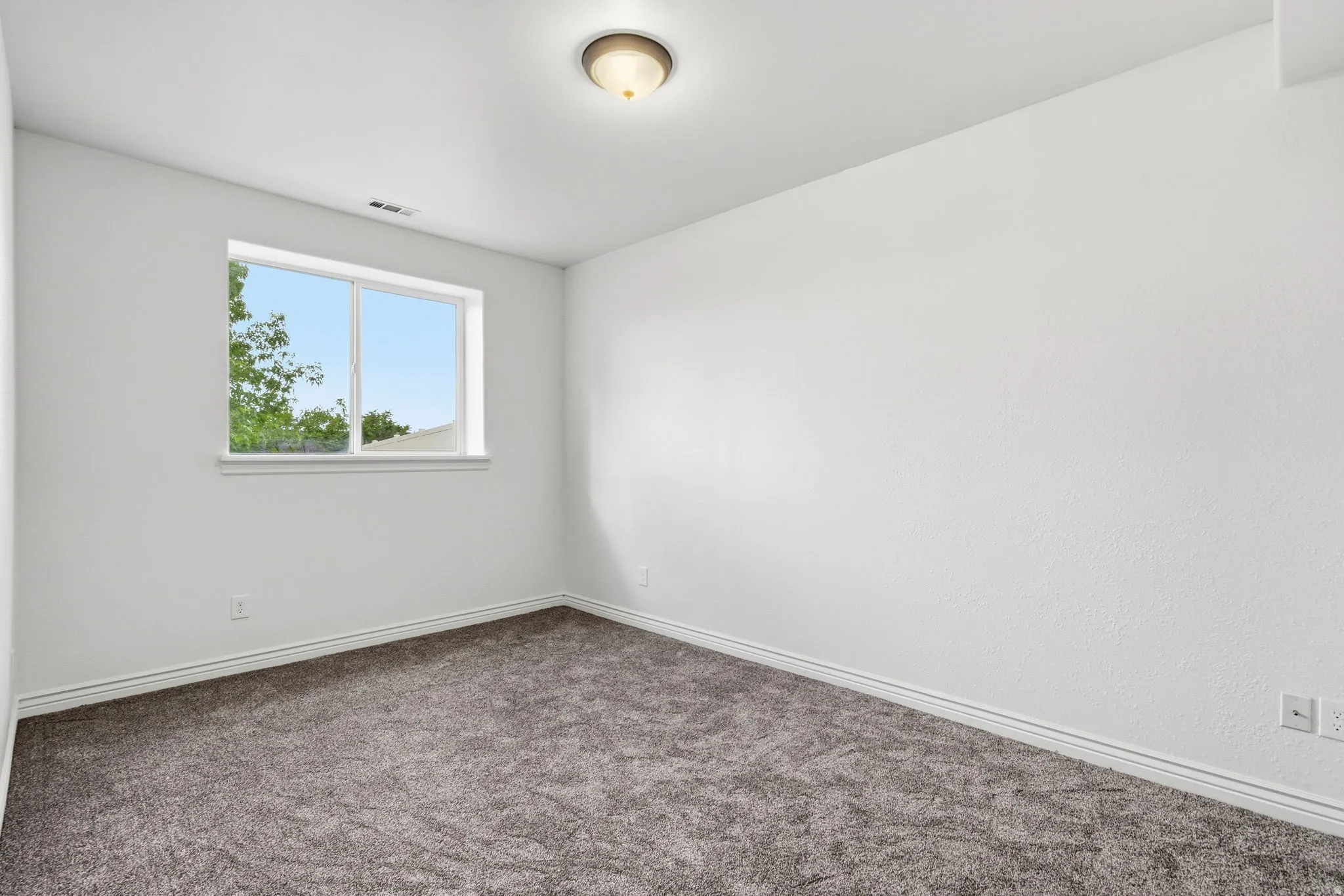 Neutral wall finishes, plush carpet, and a window with natural light