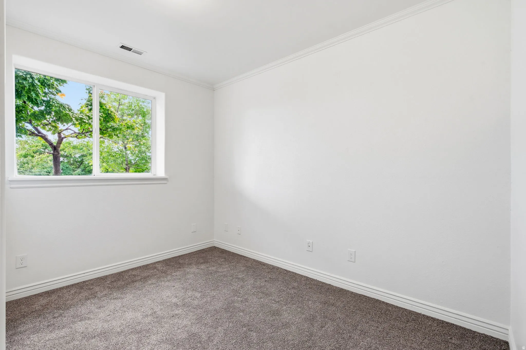 Soft gray carpet, white walls, and white trim