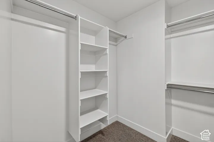 Built-in shelving unit, multiple hanging rods, and neutral-toned carpeting